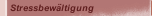 Stressbew&auml;ltigung