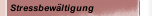 Stressbew&auml;ltigung